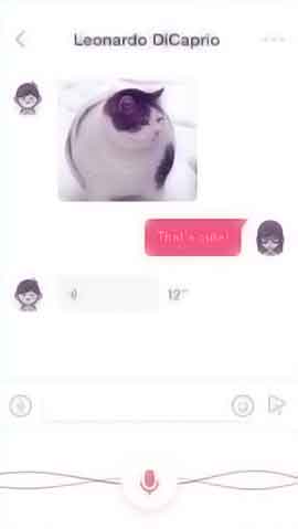 疯狂呼叫软件程序维护界面